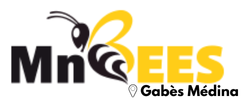 MnBees Gabès - Gabès Médina